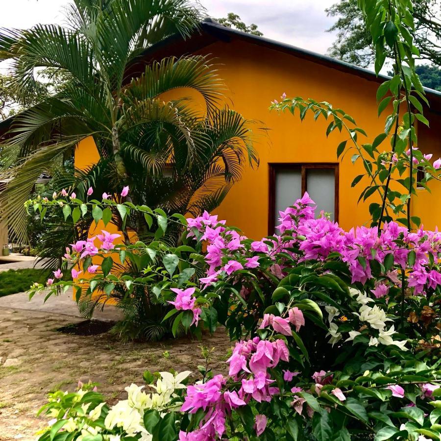 Villa Casa ÚNica à La Laguna Extérieur photo